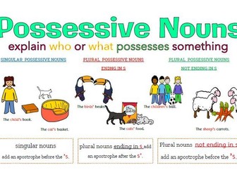 Possessive Nouns