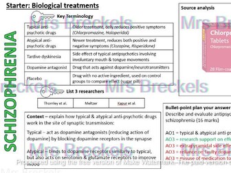 Schizophrenia (AQA A-level Psychology 2025-) - Recap starter/do now worksheets with answers