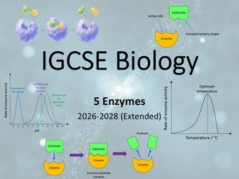 IG Biology 5 Enzymes