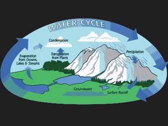 Water Cycle - QUIZ