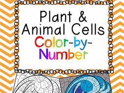 plant and animal cells colorbynumber  teaching resources