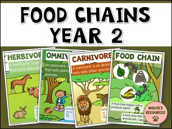 Food Chains Year 2