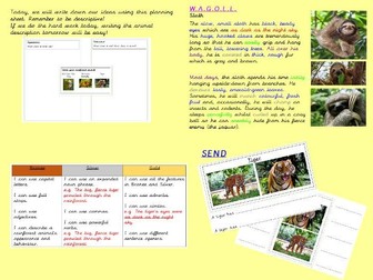 Planning and Writing an Animal Description (Y3/4)