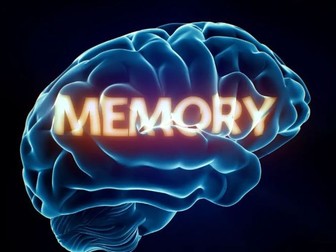 Memory models WHOLE UNIT