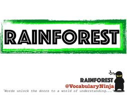 Rainforests Topic Vocabulary Pack