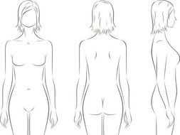 body template