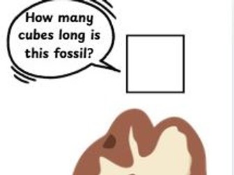 Fossils cube measuring