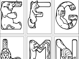 Bumper Animal Alphabet Letters and Activity Sheets