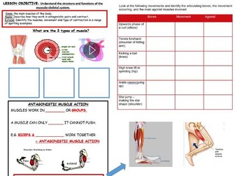 An entire two terms/units for AQA A-Level PE Applied Anatomy & physiology musculo-skeletal systems