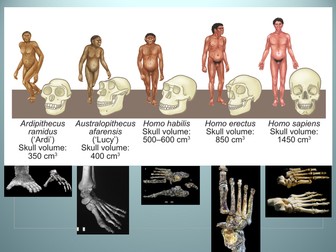 Edexcel CB4 SB4 Evidence for Human Evolution Complete Lesson - GCSE Biology/ Combined Science