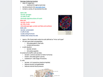 Digestive system: Accessory organs