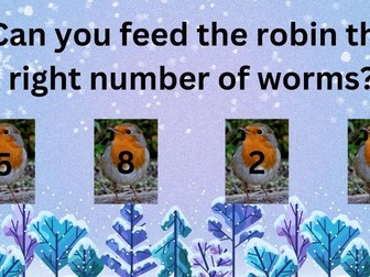 Bird counting activity - Enhanced Provision