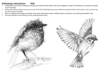 Birds Cover Worksheet /  KS3 Mark Making