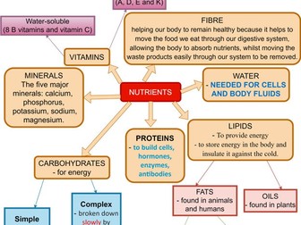 Mind map: nutrients