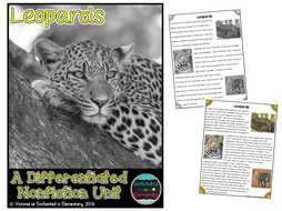 Differentiated Nonfiction Unit: Leopards