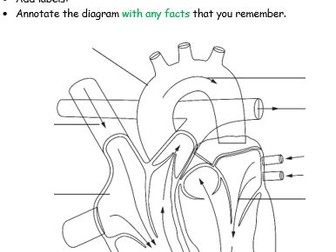 Human Circulatory System: lesson1  to support new Collins Hub Snap Science Scheme for year 6