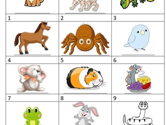 Spanish - pets - booklet
