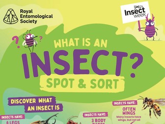 KS1 What is an Insect? Spot & Sort Activity