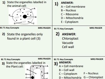 CB1 GCSE Edexcel Biology Combined Science - Key Concepts Flashcards quiz