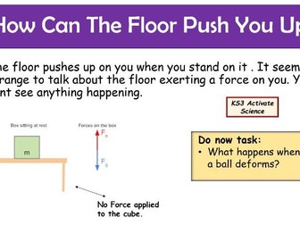 1.2 Squashing and Stretching (Activate 1)