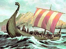 The Vikings