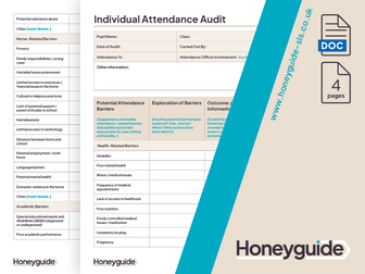 Individual Attendance Audit and Plan