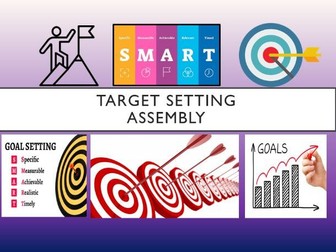 Target Setting Assembly