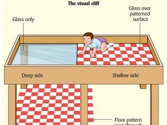 International GCSE Oxford AQA 9218
