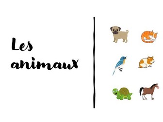 KS2 French- pets I have and I want + colours-  full ppt and worksheets - sentence builders
