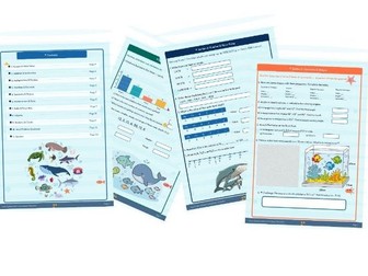 Ocean Explorers Maths Activity Book