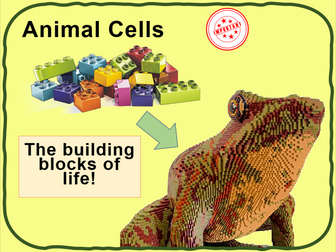 Animal cells - KS3 Low Ability