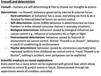 Issues and debates psychology summary