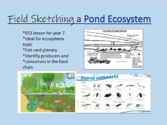 Free Pond Ecosystem lesson