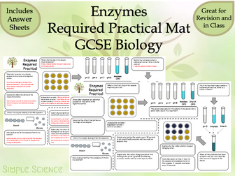 Enzymes Required Practical Mat - AQA GCSE Biology