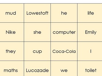 Common nouns, proper nouns and pronouns sorting cards