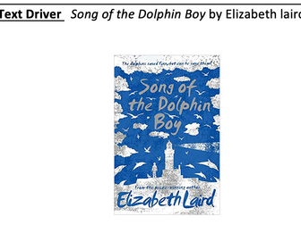 Song of the Dolphin Boy 2 week writing journey