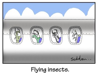 Flying Insects Funny Biology Cartoon