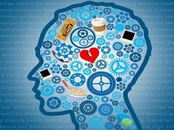 AQA A Level Psychology (New Spec) - Memory Scheme of Work