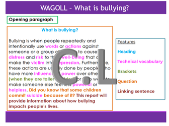 Lesson plan - WAGOLL - Non-chron report Bullying