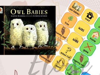 Owl babies colourful semantics