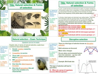 Genetics, Populations, Evolution &  Ecosystems - AQA A Level Biology (A2) - Section 7 bundle