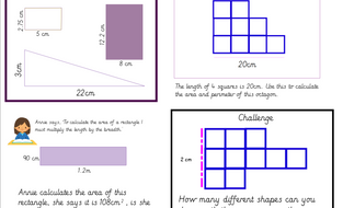 problem solving area and perimeter year 5