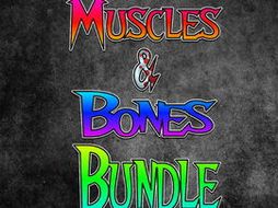 PE How to Remember Muscles and Bones Bundle