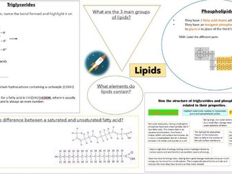 Lipids Revision Sheet: AQA A-Level (MS Included)