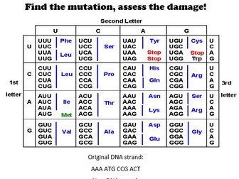 GCSE biology mutations