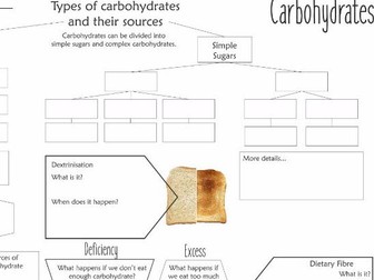 Carbohydrate Revision Mat Worksheet