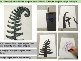 Natural Forms - Shape and collage mini lesson