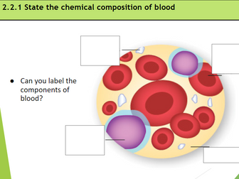 IB SEHS Topic 2 Exercise Physiology