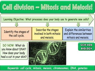 Mitosis and Meiosis AQA GCSE (9-1) Biology