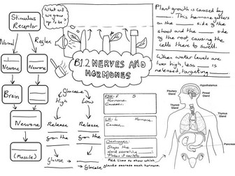 B1 AQA Biology GCSE Revision Pages by Module